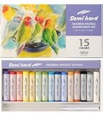 Amazon | ホルベイン ソフトパステル S956 100色セット 09956